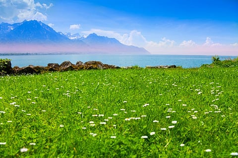 Photo: iStock