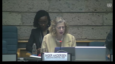 Screengrab of UNEP Executive Director Inger Anderson at the third session of the Intergovernmental Negotiating Committee on plastic pollution