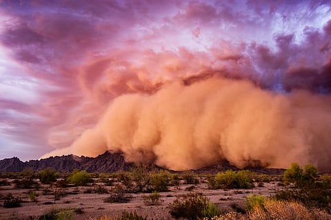 Photo: iStock