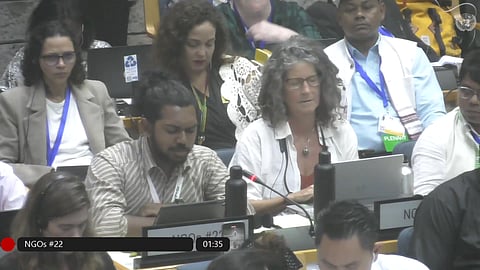 Screen grab of observer representing Break Free From Plastic speaks during INC-3 Day 4 proceedings November 16.