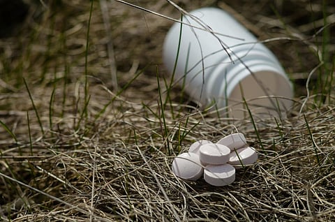 Photo: iStock