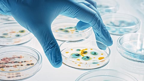 Photo: iStock