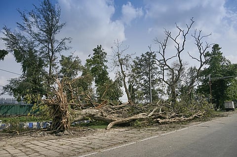 Impact of Cyclone Amphan in West Bengal, India in May 2020. Photo: iStock