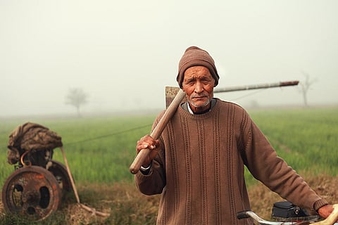 अपने हरे-भरे खेतों के आगे खड़ा वृद्ध किसान; फोटो: आईस्टॉक