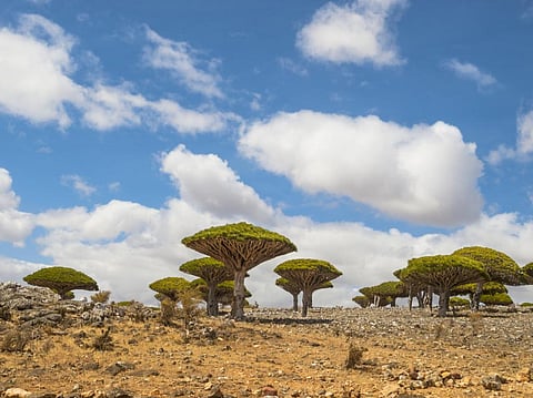 Photo: iStock