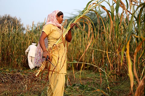 Higher food, fuel, fertiliser and livestock feed prices are exacerbating the problems of malnutrition and food security. Photo: iStock