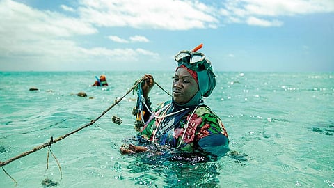 Nasir Haji, chairperson of the Sponge Farmers Association, inspects her underwater sponge farm in Jambiani coast of Zanzibar (Photographs: Kizito Makoye)