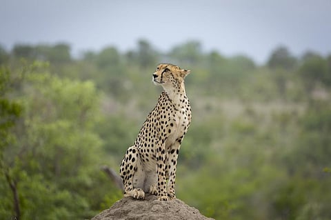 Photo for representation: iStock
