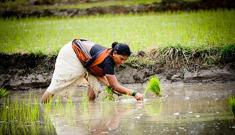 Photo: iStock