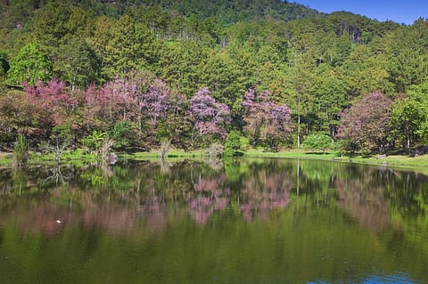 Photo: iStock