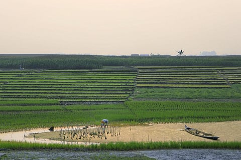 Photo: iStock