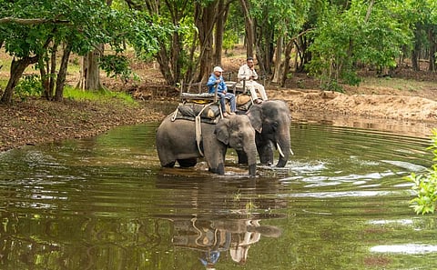 Two 'mahouts' on 'kumkis' patrolling the jungle in Bandhavgarh Tiger Reserve, Madhya Pradesh. iStock photo for representation