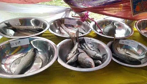 जब बाढ़ आती थी तो मछलियों की कई प्रजातियां अपने साथ लेकर आती थी, लेकिन अब ये मछलियां विलुप्त होती जा रही हैं। फोटो: सीटू तिवारी