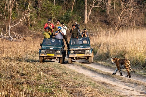 Visitors taking pictures of a tiger during a safari in Jim Corbett National Park. Photo for representation: iStock