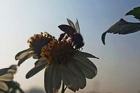 प्रतीकात्मक तस्वीर; फोटो: आईस्टॉक