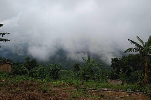 फोटो साभार: विकिमीडिया कॉमन्स, जोहराकेया