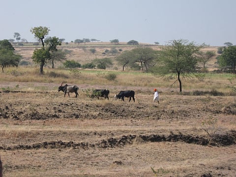 Agriculture ministry set to get its disaster management plan soon: MHA official