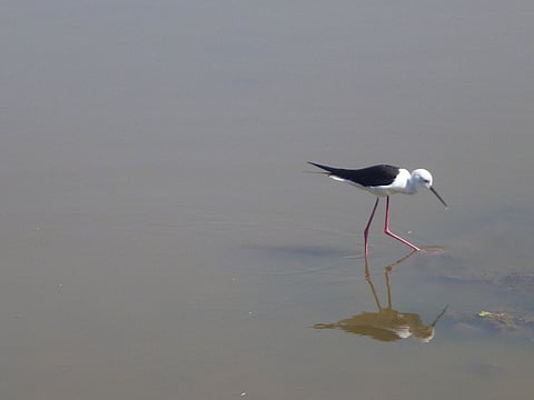 Water in age of climate change