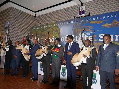 Photo from the KAZA Summit 2024.
