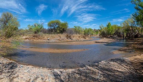 Fresh water and dry land are the two crucial ingredients for life.