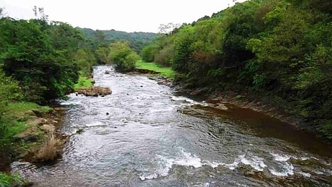The Mahadayi river flows through Goa, Karnataka and Maharashtra