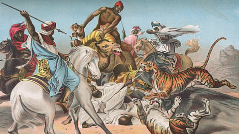 Caspian tigers (Panthera Tigris Virgata) attacking a caravan in Ottoman Iraq. Vintage etching circa late 19th century.