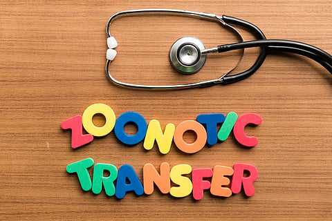 UNEP Foresight Report: New emerging zoonotic diseases may trigger another pandemic in 5-6 years