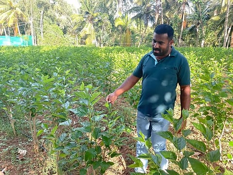 In the last four years, Mallesha DP from Devipura village has been trying to experiment with sericulture, aquaculture and other agricultural practices other than traditional farming to increase his earnings.