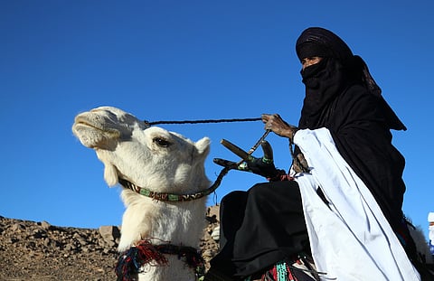 A closeup shot of a Tuareg man wearing black clothes riding his white camel. Tuaregs are a Berber people.