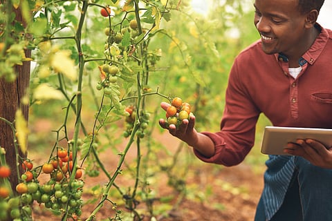 Nigeria's AI-driven path to economic growth and climate impact, highlights report