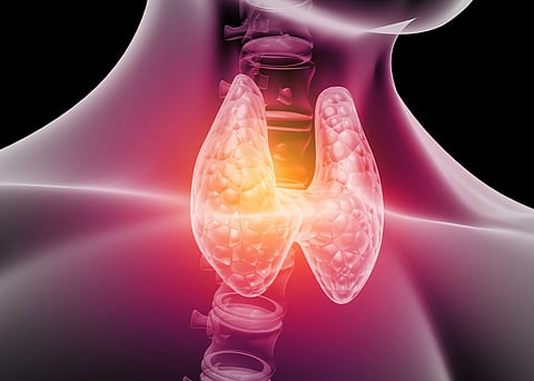 Thyroid hormone likely drives exploratory behaviour, in addition to regulating metabolism: Study