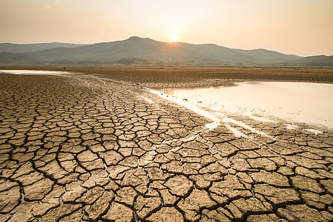 Globally, 29.7 per cent of land experienced moderate or worse categories of drought in 2023 — another record-breaking figure