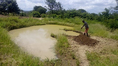 Replicating Zephaniah Phiris’ techniques is ensuring good yields to Zimbabwean farmers in arid areas