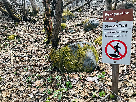 Stay on trail warning sign for revegetation area in Exit Glacier hiking trail, Fjord National Park, Seward, Alaska, US