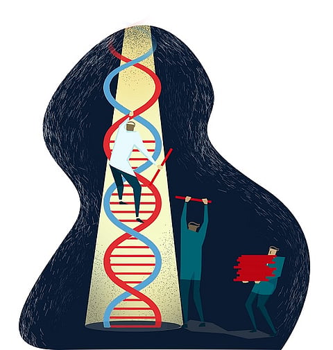 A Nobel Prize and the hunt for patents