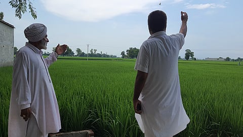 Of the total 2.266 million soil samples tested in India in 2024-25, only 2,587 were from Punjab.