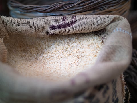 Cash vs ration: Study shows benefits of Karnataka’s direct benefit transfer for rice