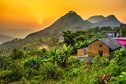 Tropical forests enter critical phase as two-thirds of key biodiversity areas see temperature rise
