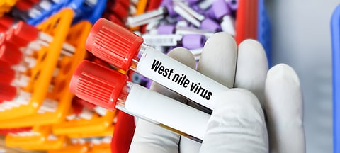Deadly West Nile virus spreads across Ukraine, 11 fatalities since July