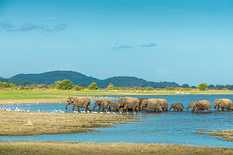 COP16: Experts call for synergies in biodiversity and climate by enhancing high-integrity ecosystems