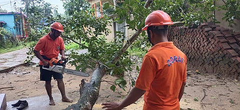 Trees were uprooted by heavy winds in Rajnagar
