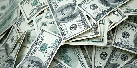 DTE at COP16: Biodiversity receives funds from 8 donors