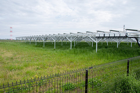 Odisha: Protecting paddy fields from elephants by using solar fence is a lesson in mitigating human-wildlife conflicts