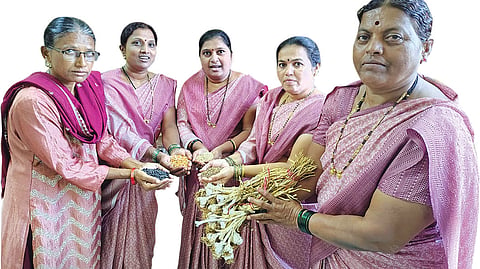 Women of Shedshal village in Kolhapur, Maharashtra have preserved more than 50 indigenous seed varieties in their seed bank