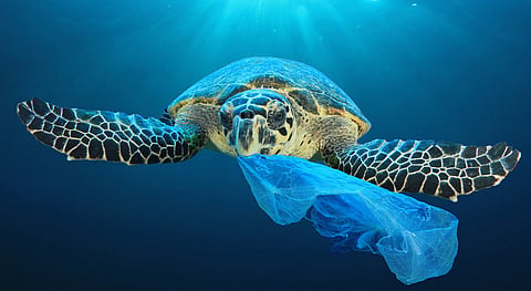 Global Plastic Profiles: Why addressing existing polymer pollution is a critical priority