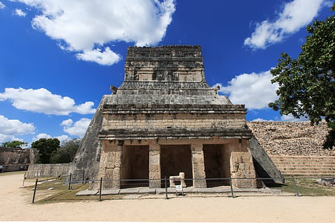 We have failed to react to the warning signs that will make the difference to whether humanity survives like the leaders of Maya kingdom