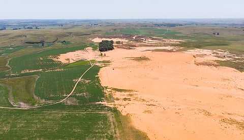 Earth’s desertification emergency: Unprecedented land degradation now threatens Earth’s capacity to sustain humanity