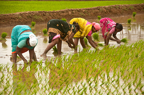 Telangana: Tenant farmers remind Congress of its poll promises; demand recognition and government support