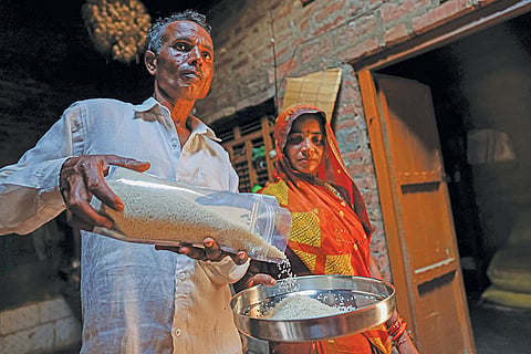 Farmer Jasmer of Daheli village, Kanpur Dehat district, Uttar Pradesh, has been able to save R85,000 per acre (0.4 hectare) on input costs after shifting to the indigenous Rambhog paddy.