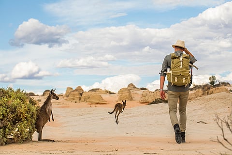 Australia braces for hottest summers in 5 years as heatwaves begin